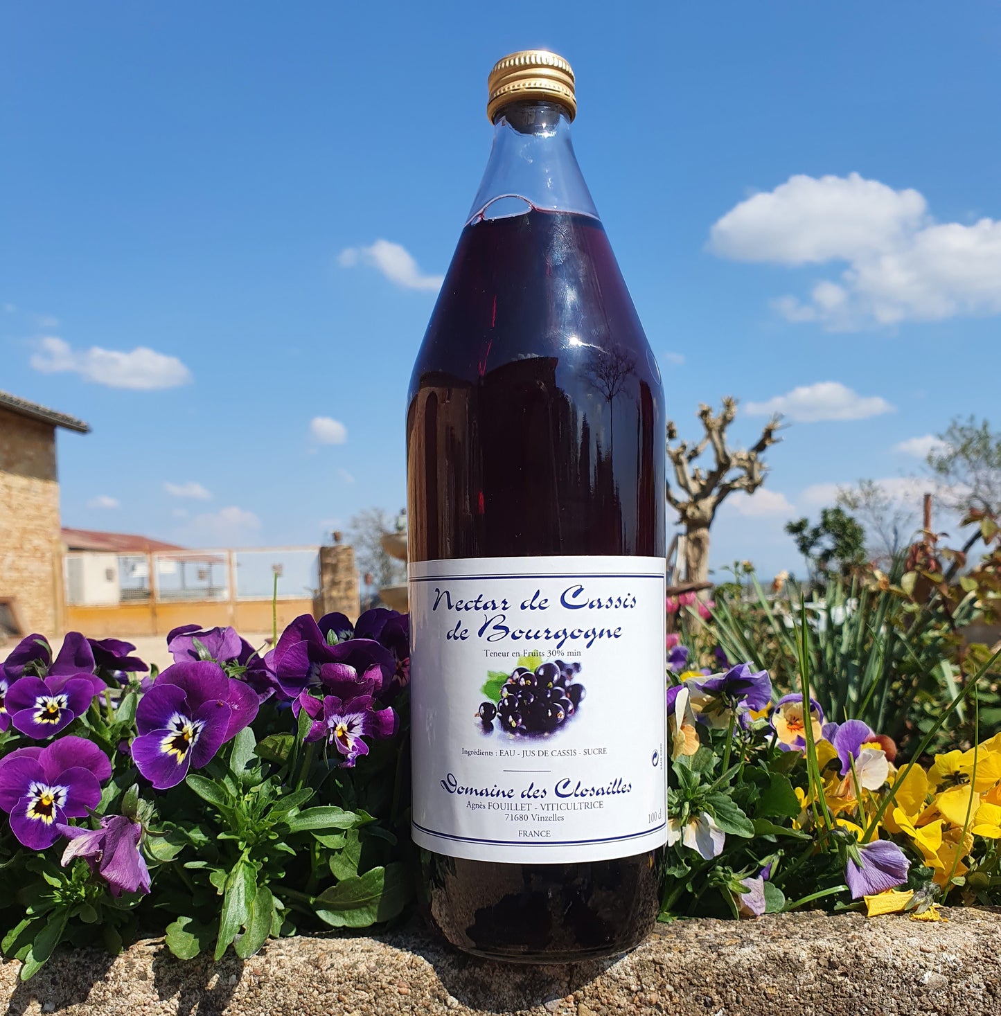 Nectar de cassis